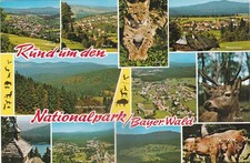 Cartolina 2416 foresta usato  Unsere Liebe Frau im Walde St Felix