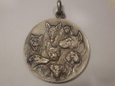 Medaglia esposizione canina usato  Italia