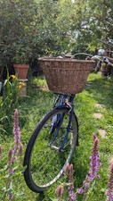 Bobbin brownie speed for sale  REIGATE