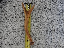 Small point whitetail for sale  Albany