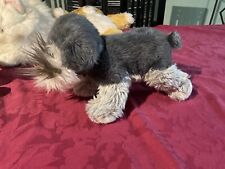 Schnauzer plush keel for sale  DONCASTER