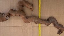 bogwood for sale bogwood for sale SAFFRON WALDEN