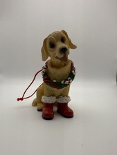 Yellow golden labrador for sale  Sacramento