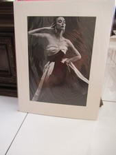 Vtg richard avedon for sale  Hallandale