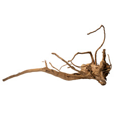 Spiderwood aquarium wurzel gebraucht kaufen  Dahn