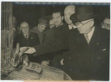 Vincent auriol visité d'occasion Vincent auriol visité d'occasion  Paris XIII