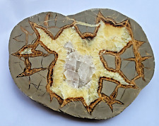 Beautiful slice septaria d'occasion  Expédié en Belgium