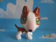 Petshop chien bull d'occasion Petshop chien bull d'occasion  Bailleul