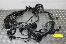 Gtr1400 wiring harness for sale  COLCHESTER