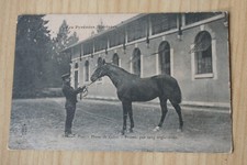 anglo araber gebraucht kaufen anglo araber gebraucht kaufen Berlin