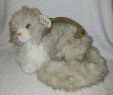 Jaag himalayan cat for sale  Raritan
