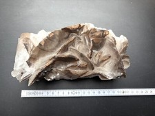 tsumeb gebraucht kaufen  Wennigsen