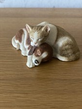 Sherratt simpson kitten for sale  THETFORD
