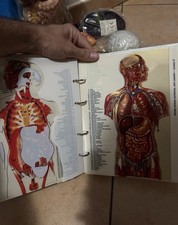 Esplorando corpo umano usato  Margherita di Savoia