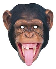 Chimp chimpanzee monkey for sale  NUNEATON