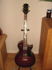 Jay turser 220 for sale  SUNDERLAND