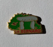 Pin prehistoire bernard d'occasion  Aizenay