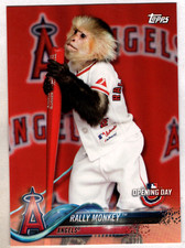 monkey shark angels rally for sale monkey shark angels rally for sale Watchung