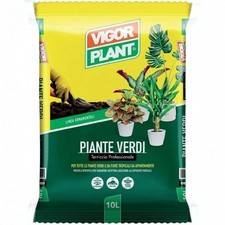 Vigor plant piante usato  Qualiano