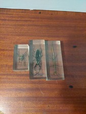Insects resin wolf for sale  Lamoure