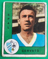 Cervato spal calciatori usato  Gatteo