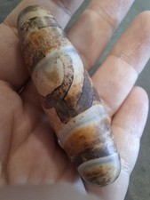 Antica dzi tibetana usato  Savona