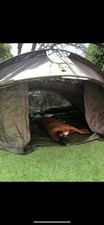 nash double extreme for sale nash double extreme for sale NORTHAMPTON