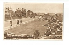 Rhyl rockery gardens for sale  NORWICH