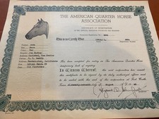 Aqha history foundation for sale  Columbus