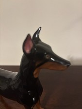 Royal daulton doberman for sale  SHIPLEY
