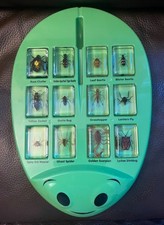 Lakeshore real bugs for sale  Barrington