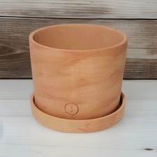 Unique large terracotta for sale  Webster