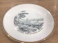Commemorative plate britannia for sale  YORK