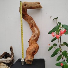 Long twisted driftwood for sale  Brookings