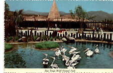 Pelican pool nairobi for sale  USA