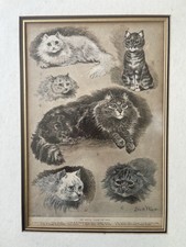 Louis wain original for sale  TENBY