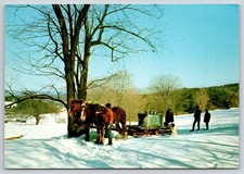 Winter scene maple for sale  Waco