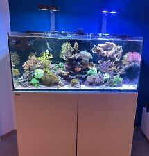 Meerwasser aquarium red gebraucht kaufen  Prien a.Chiemsee