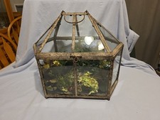 Glass plant terrarium for sale  Emporia