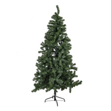 Vacchetti giuseppe albero usato  Roccagloriosa