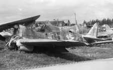 Rnzaf curtiss 40k for sale  SPALDING