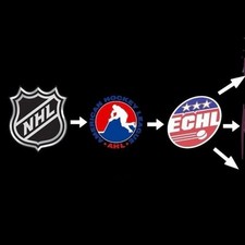 Cartões colecionáveis emitidos para time de hóquei AHL ECHL NCAA USHL OHL WHL WHL CHL WHA comprar usado  Enviando para Brazil
