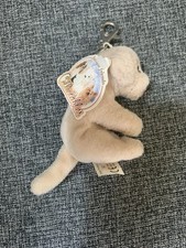 Golden labrador faithful for sale  WOLVERHAMPTON