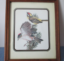 Wand bild vogel gebraucht kaufen  Deutschland