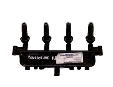Bobine peugeot 206 usato  Porto Viro