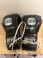 Reyes boxing gloves for sale  Astoria