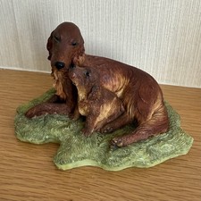 Sherratt simpson irish for sale Sherratt simpson irish for sale  GALASHIELS