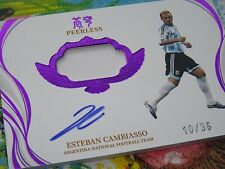 Esteban cambiasso card gebraucht kaufen  Landau