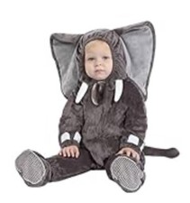 Baby toddler elephant for sale  Waterville