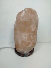 Ancienne lampe sel d'occasion  Nantes-